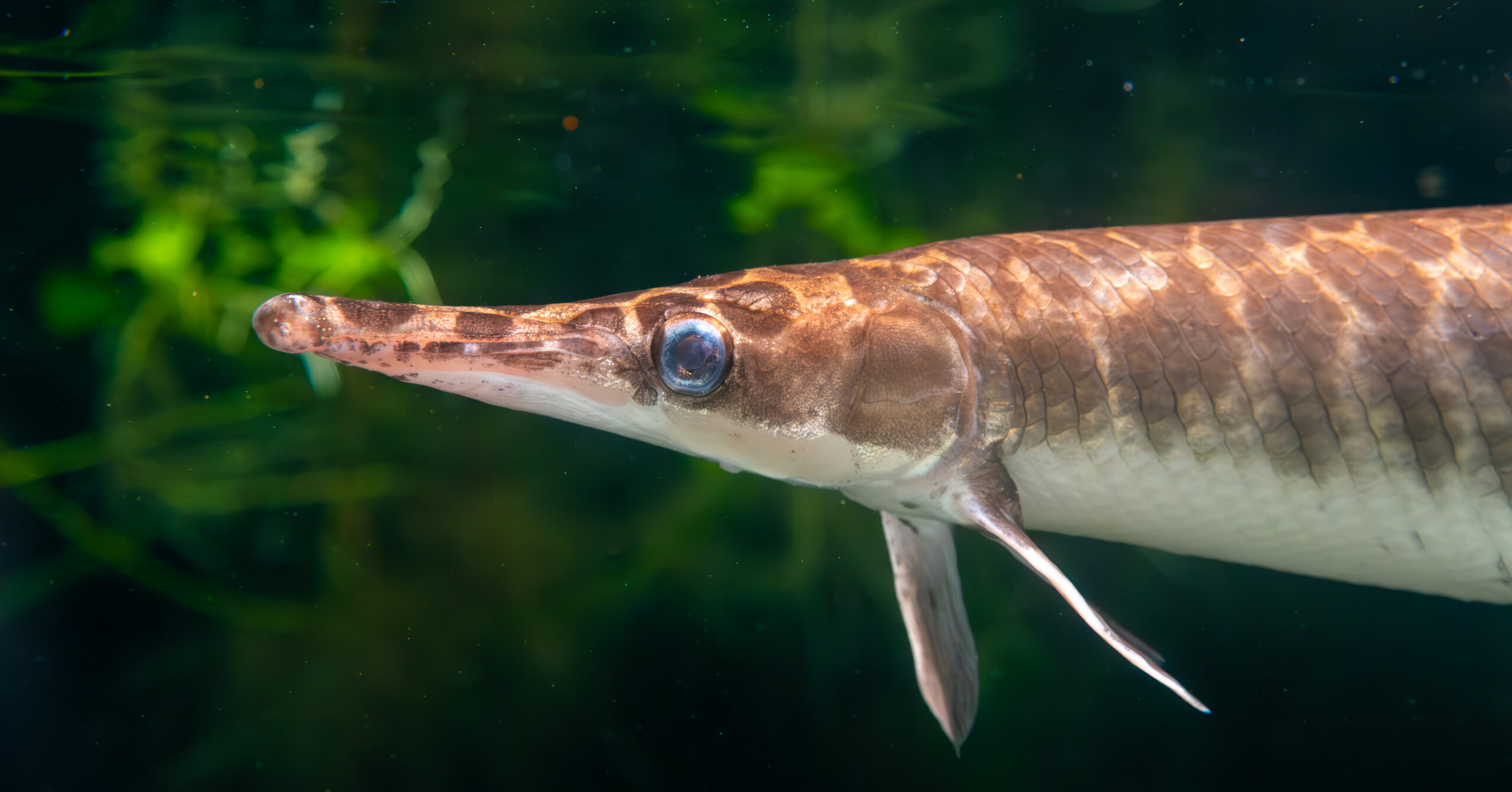 20250717-_DSF8026-Enhanced-NR