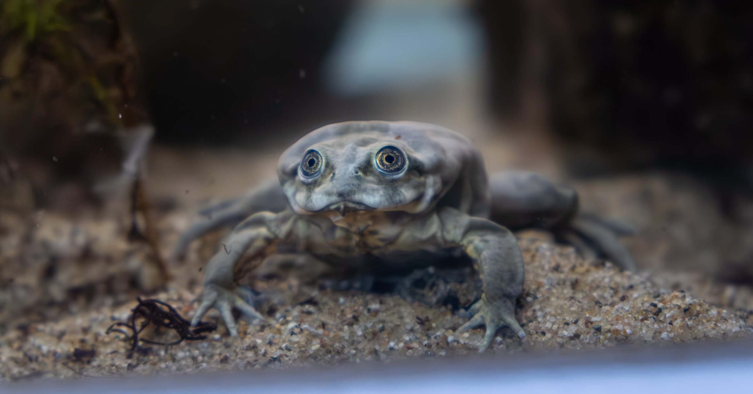 20250717-_DSF8043-Enhanced-NR