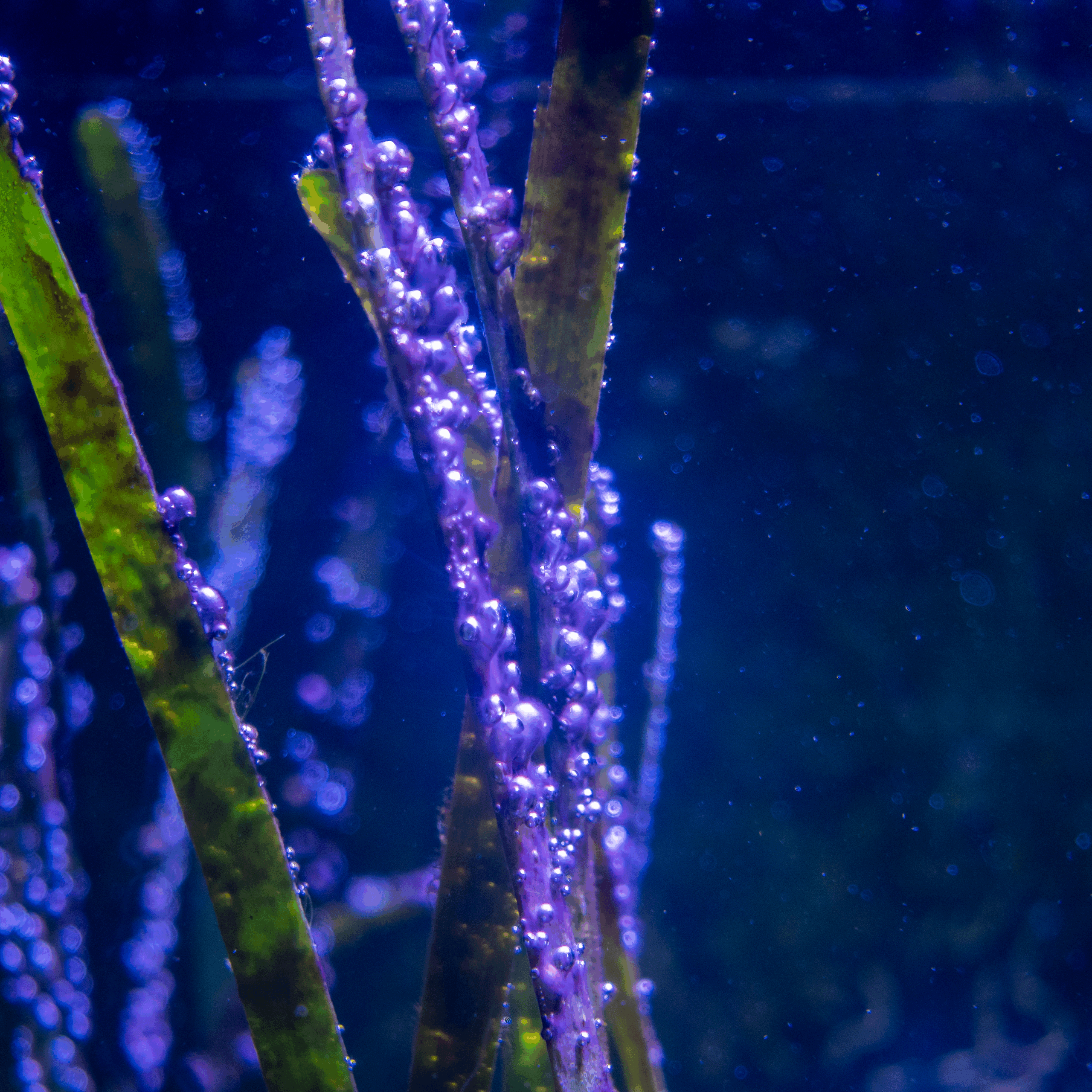 20250807-DSC02308-HDR